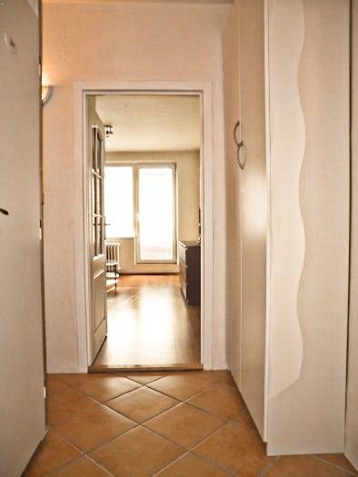 Pronájem, Byt 1+kk, Ostrava