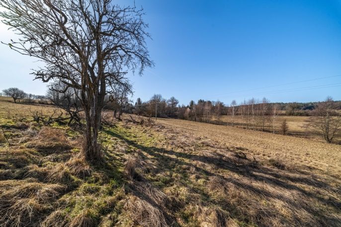 Prodej, Ostatní, Olbramov