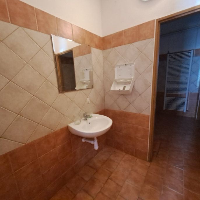 Prodej, Hotel, penzion, Široká Niva