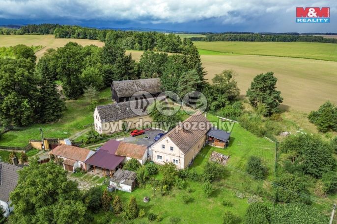 Prodej, Rodinný dům, Bor