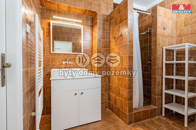 Pronájem, Obchod a služby, Počátky