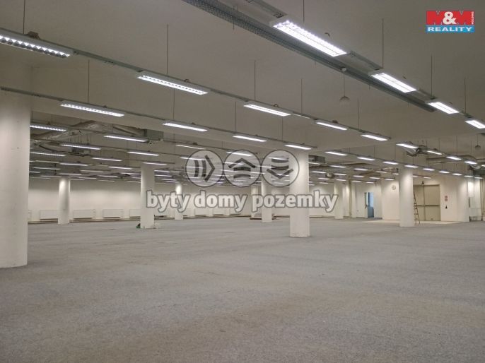 Pronájem, Obchod a služby, Děčín