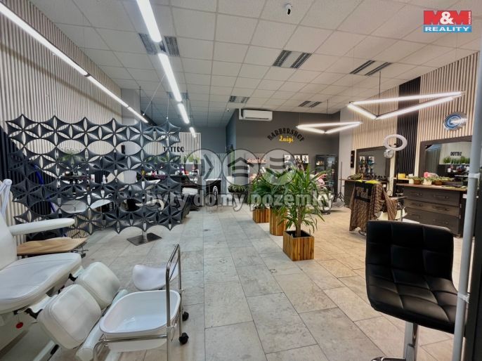 Pronájem, Obchod a služby, Most