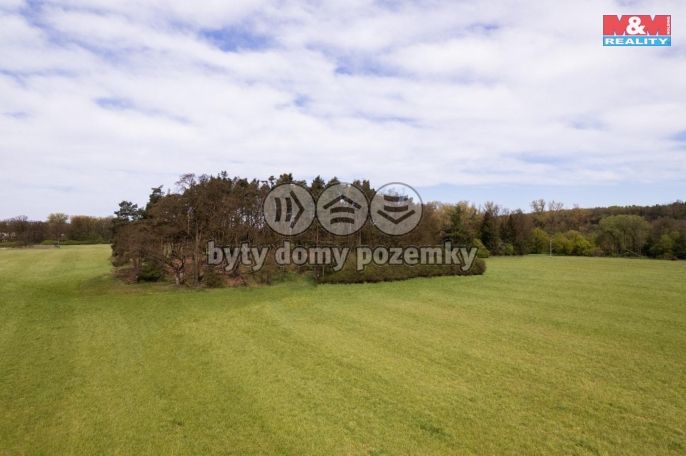 Prodej, Les, Borohrádek