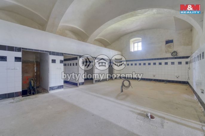 Prodej, Hotel, penzion, Červené Poříčí