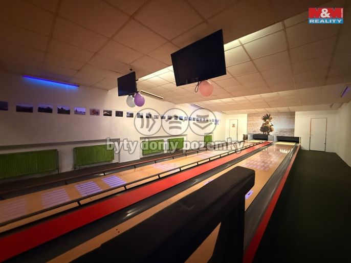 Pronájem, Hotel, penzion, Vilémov