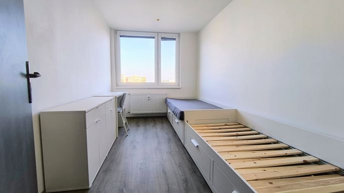 Pronájem, Byt 2+kk, Kladno