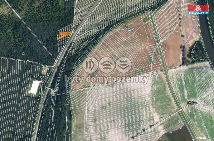 Prodej, Les, Břeclav