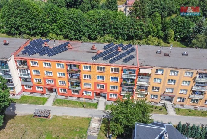 Pronájem, Byt 1+1, Luby