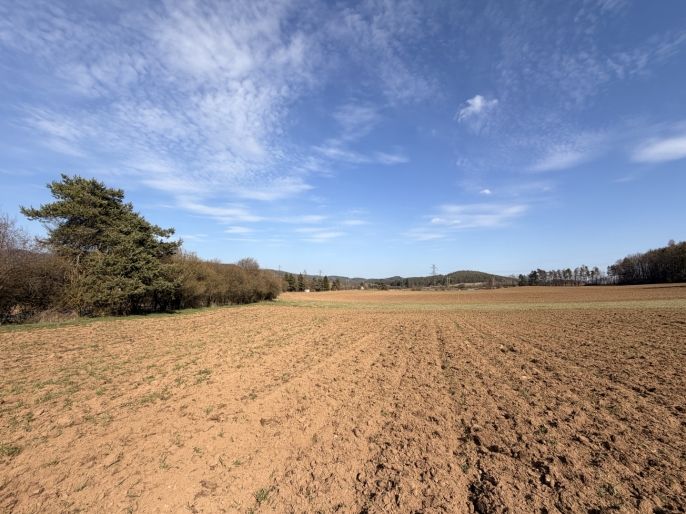 Prodej, Pole, Drevníky