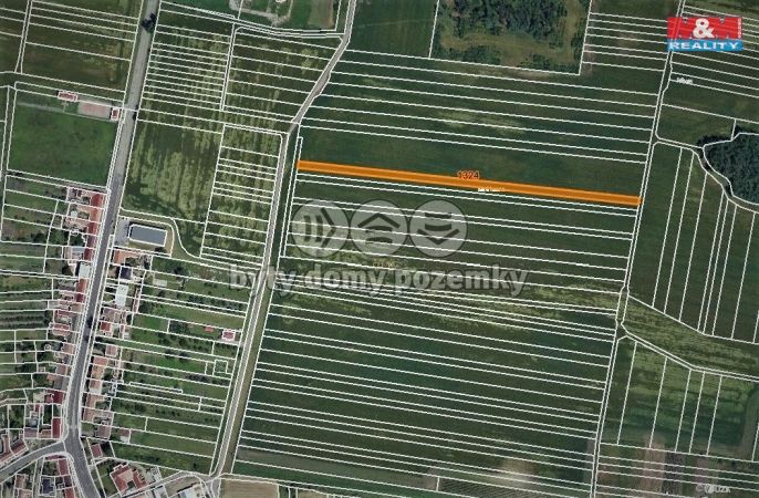 Prodej, Pole, Terezín