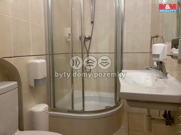 Pronájem, Byt 4+kk, Plzeň