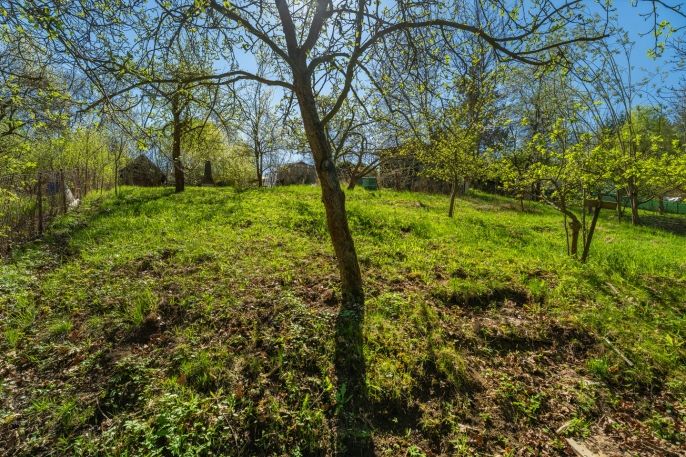 Prodej, Zahrada, Děčín