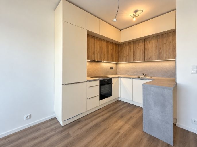 Pronájem, Byt 2+kk, Brandýs nad Labem-Stará Boleslav