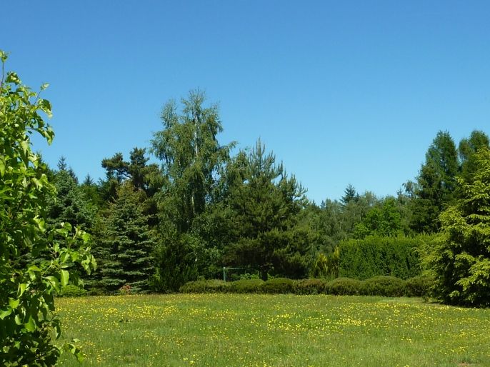 Prodej, Zahrada, Hronov
