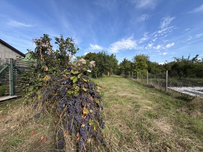 Prodej, Pozemek k bydlení, Němčice nad Hanou