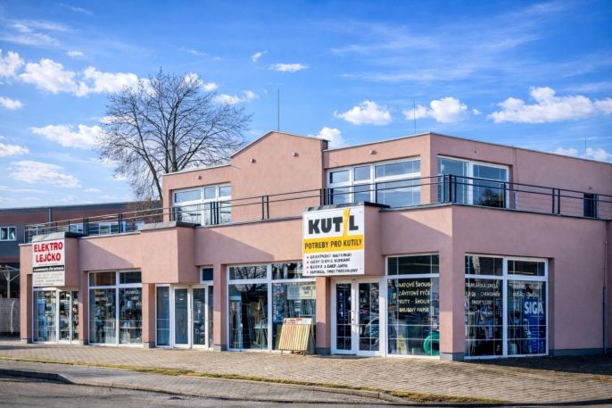 Pronájem, Obchod a služby, Vlašim