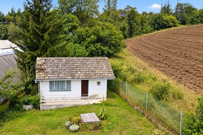 Pronájem, Zahrada, Ledeč nad Sázavou