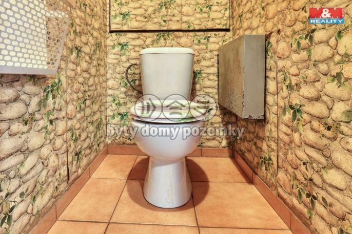 Prodej, Byt 4+1, Hostomice