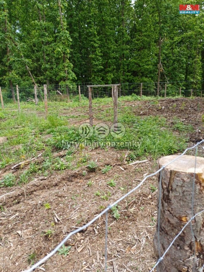 Prodej, Les, Hrazany