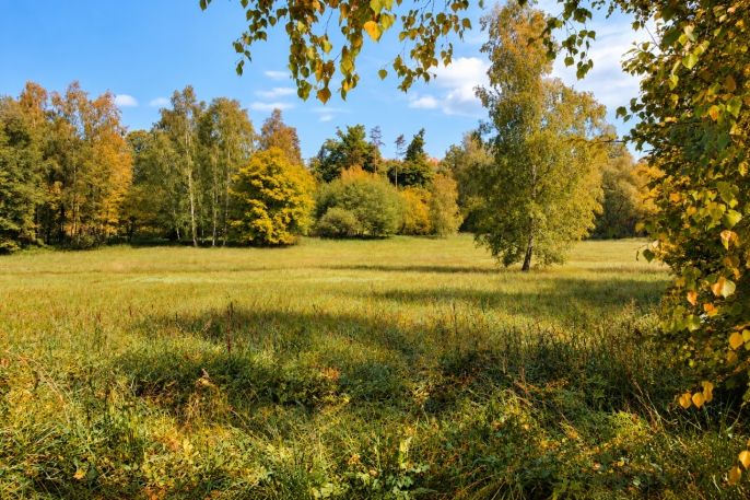 Prodej, Pozemek k bydlení, Zruč nad Sázavou