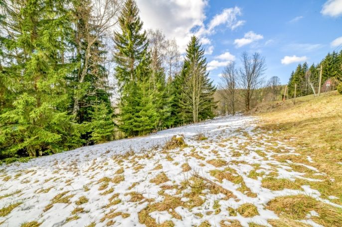 Prodej, Pozemek k bydlení, Jáchymov