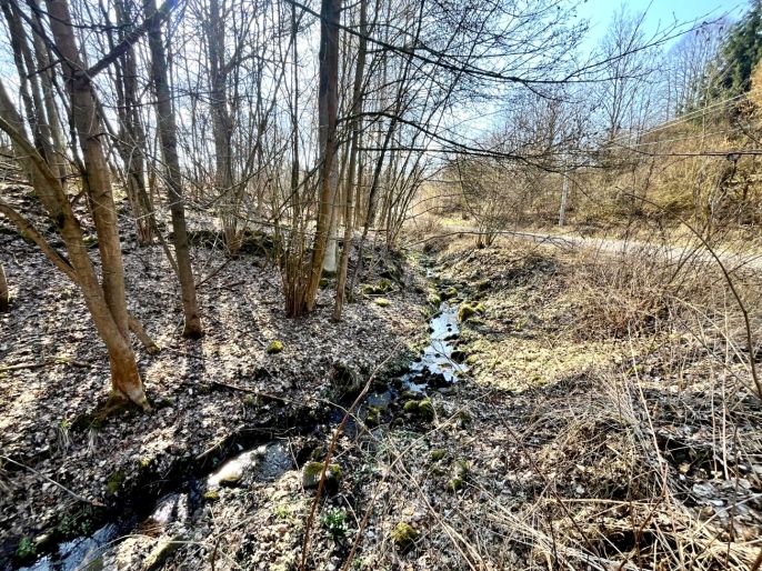 Prodej, Pozemek k bydlení, Heřmanov