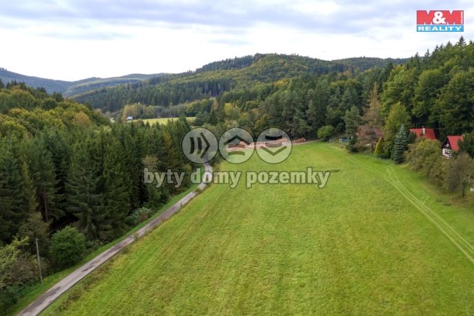 Prodej, Chata, Držková