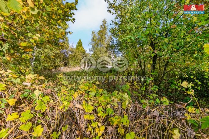 Prodej, Zahrada, Milhostov