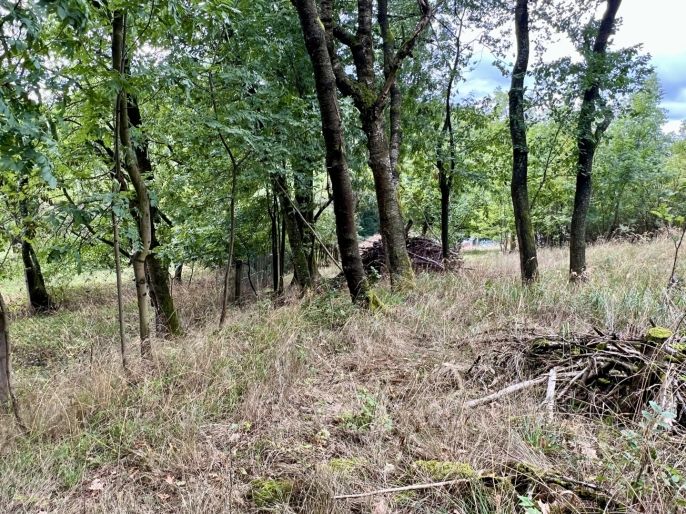 Prodej, Pozemek k bydlení, Pyšely