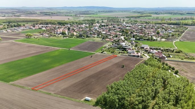 Prodej, Pole, Jevišovka