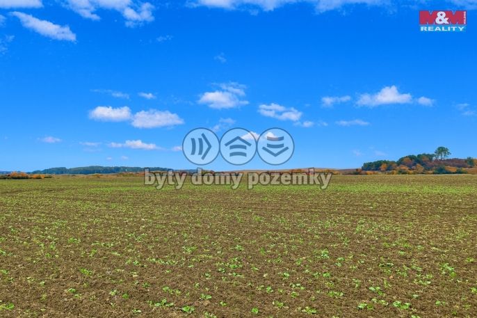 Prodej, Pole, Dolní Roveň