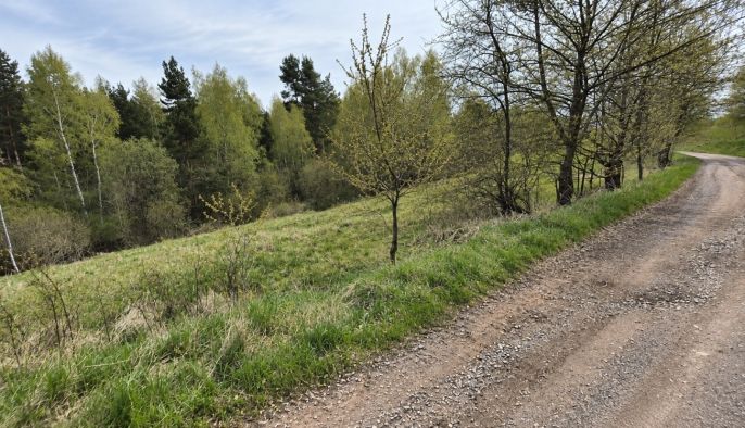 Prodej, Ostatní, Lipová