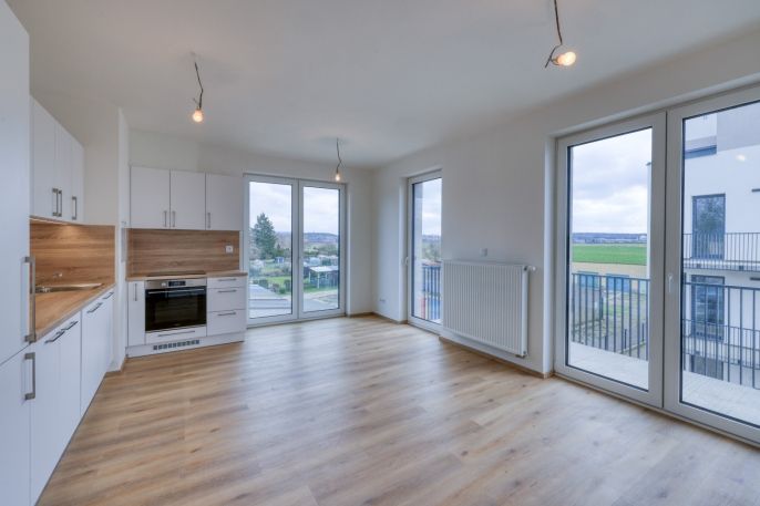 Pronájem, Byt 2+kk, Dobřany