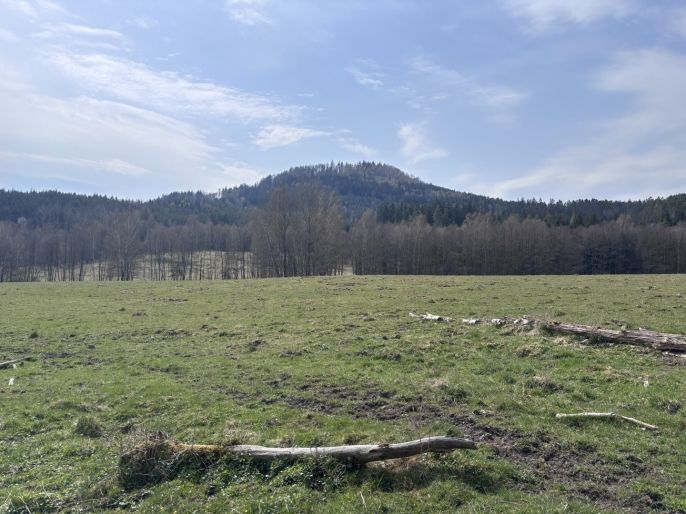 Prodej, Louka, Cvikov