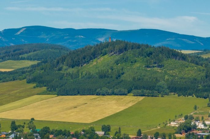 Prodej, Pozemek k bydlení, Červená Voda
