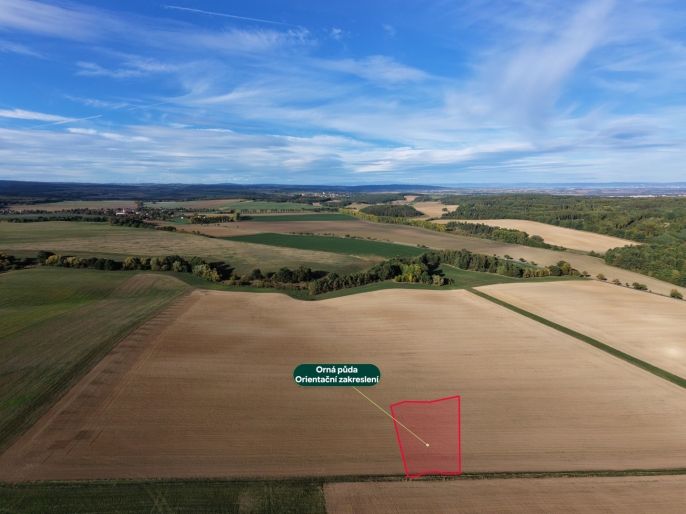 Prodej, Pole, Prostějovičky