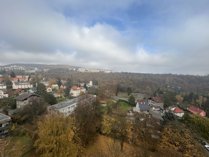 Pronájem, Byt 1+kk, Ústí nad Labem