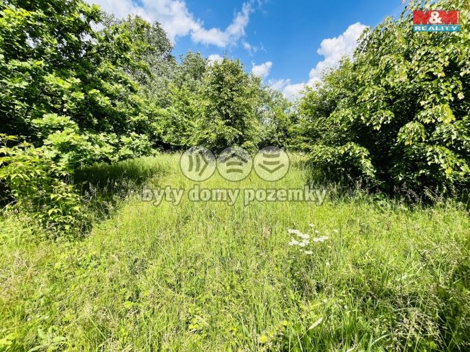 Prodej, Ostatní, Veselí nad Moravou