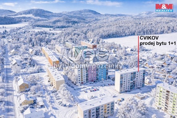 Prodej, Byt 1+1, Cvikov