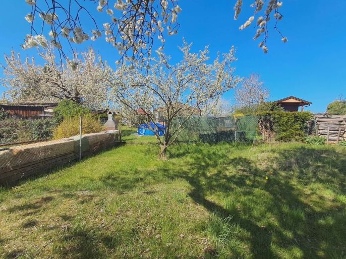 Pronájem, Zahrada, Přeštice