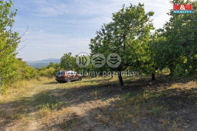 Prodej, Ovocný sad, Židlochovice