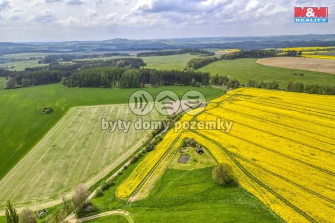 Prodej, Pole, Ostrov u Bezdružic