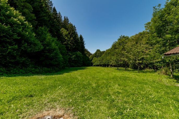 Prodej, Rodinný dům, Velké Karlovice