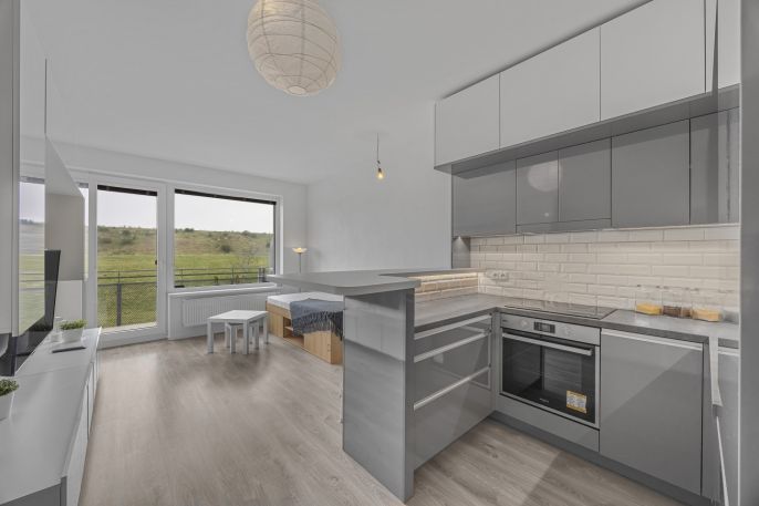 Prodej, Byt 1+kk, Praha