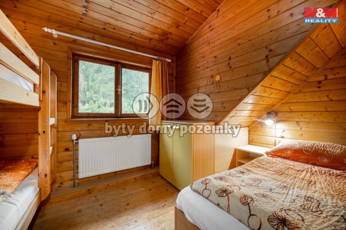 Prodej, Hotel, penzion, Bartošovice v Orlických horách