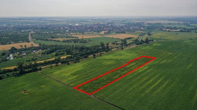 Prodej, Pole, Podivín