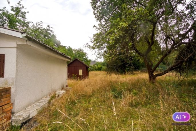Prodej, Chata, Družec