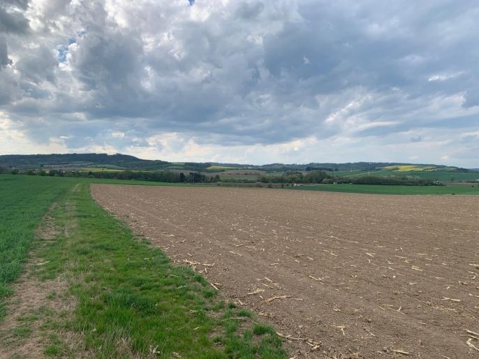 Prodej, Pole, Voděrady