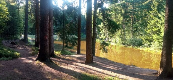 Prodej, Ostatní, Dlouhý Most